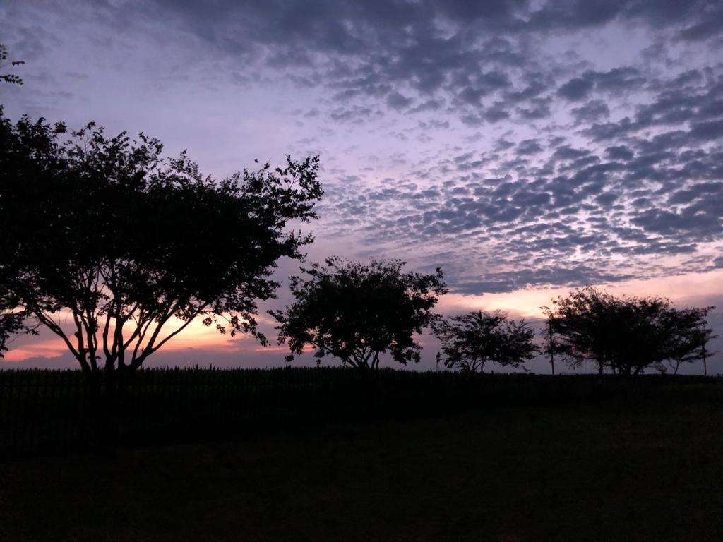 La Vista Farm Stay แอร์เมอโล ภายนอก รูปภาพ