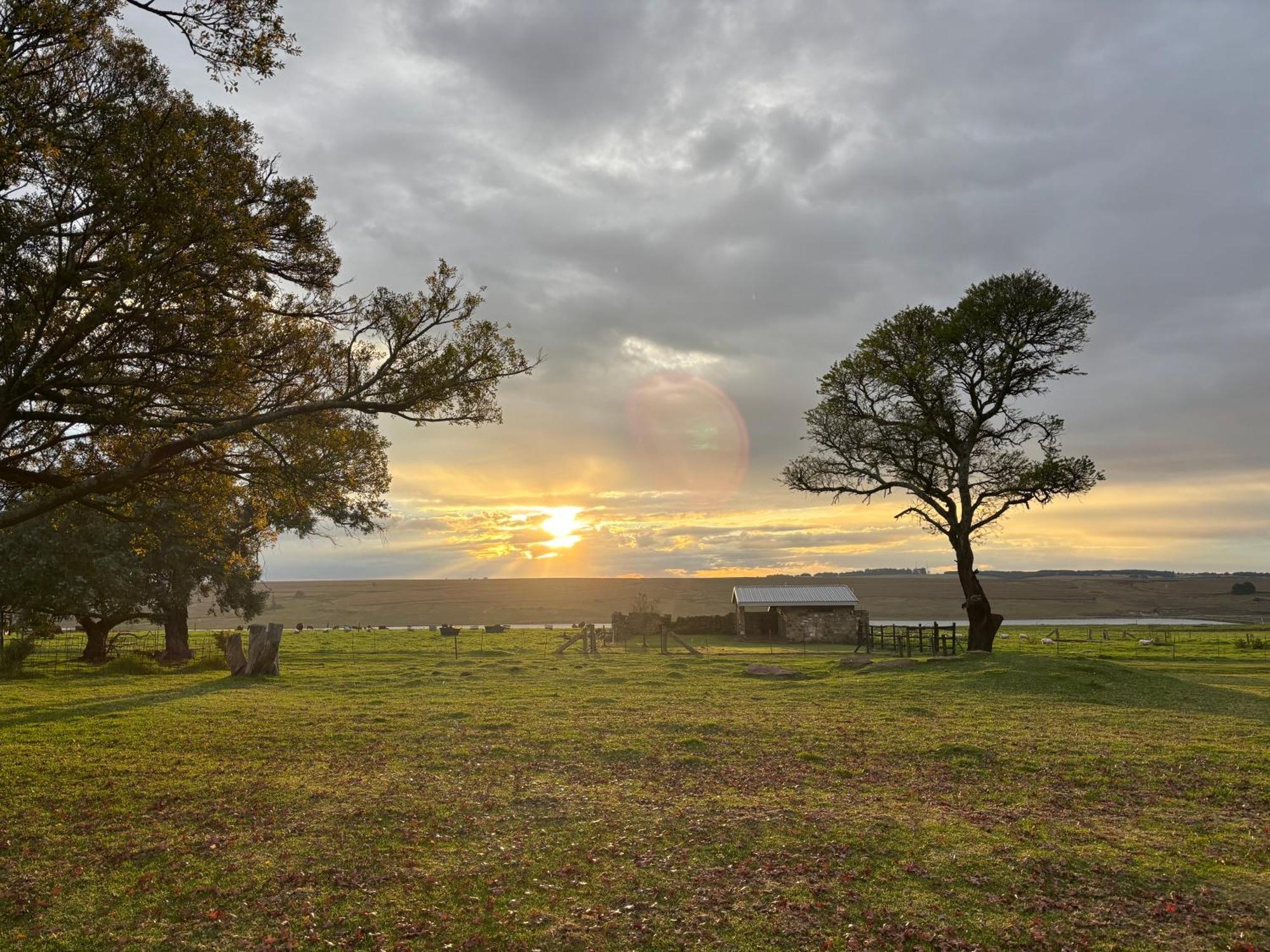 La Vista Farm Stay แอร์เมอโล ภายนอก รูปภาพ